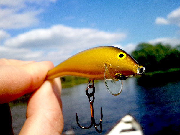 Shrap-Drakers.pl | Shrap Drakers Fishing | Wędkarstwo 