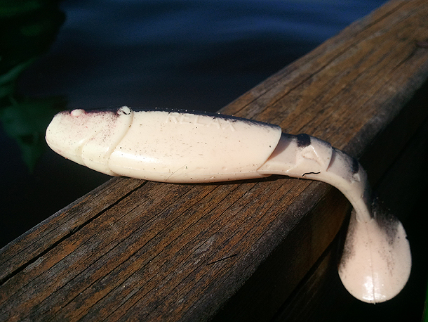 Shrap-Drakers.pl | Shrap Drakers Fishing | Wędkarstwo 