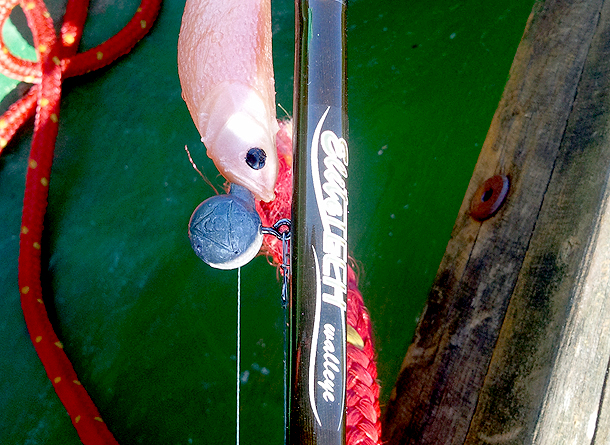 Shrap-Drakers.pl | Shrap Drakers Fishing | Wędkarstwo 