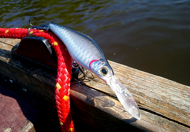 Shrap-Drakers.pl | Shrap Drakers Fishing | Wędkarstwo 