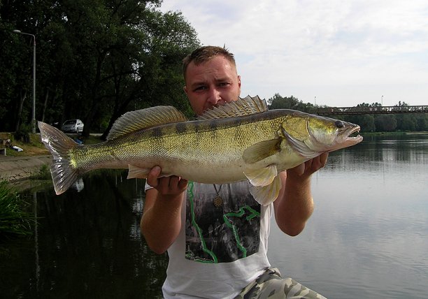 Shrap-Drakers.pl | Shrap Drakers Fishing | Wędkarstwo 