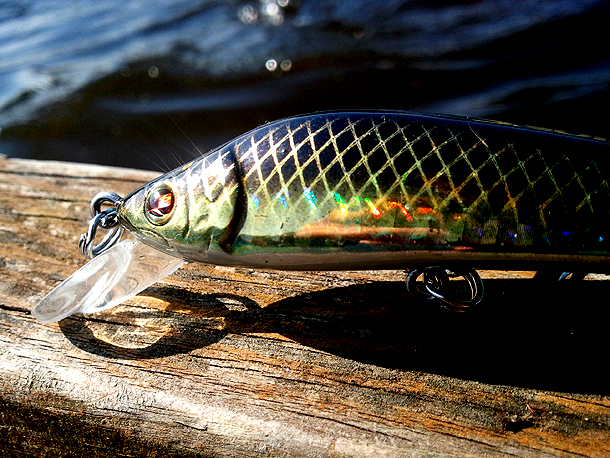 Shrap-Drakers.pl | Shrap Drakers Fishing | Wędkarstwo 