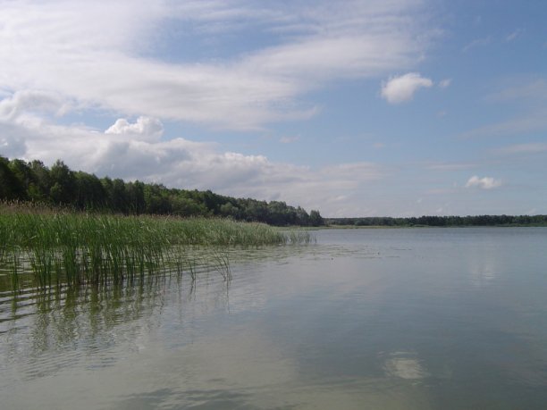 Shrap-Drakers.pl | Shrap Drakers Fishing | Wędkarstwo 