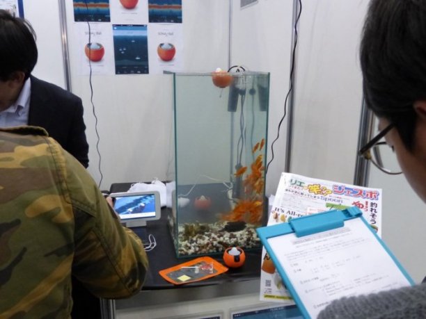 Shrap-Drakers.pl | Shrap Drakers Fishing | Wędkarstwo 