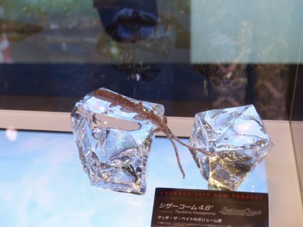 Shrap-Drakers.pl | Shrap Drakers Fishing | Wędkarstwo 