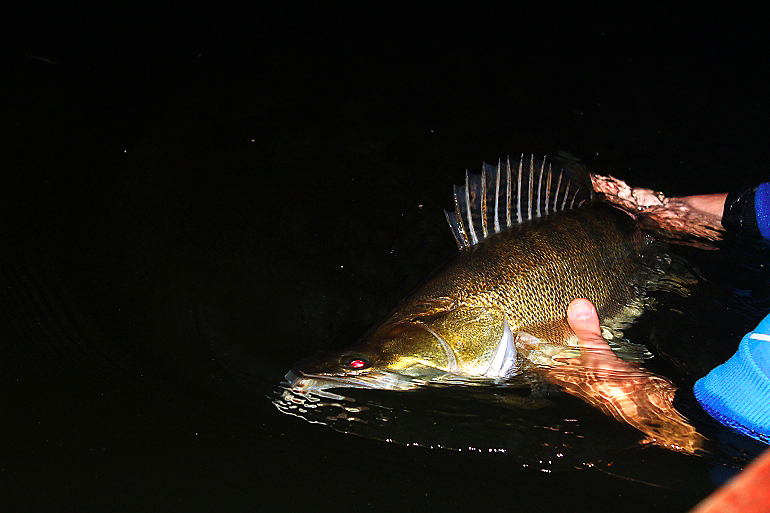 Shrap-Drakers.pl | Shrap Drakers Fishing | Wędkarstwo 