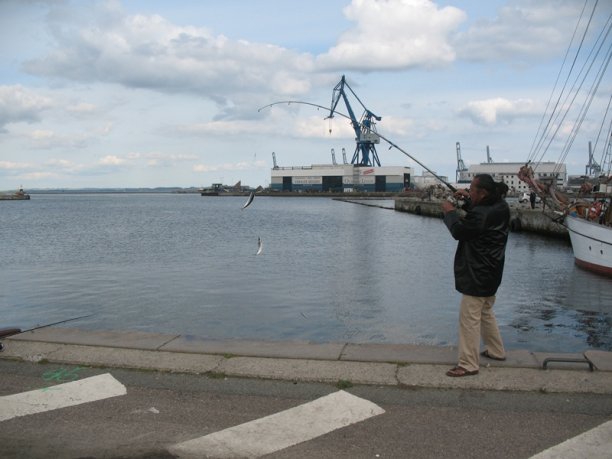 Shrap-Drakers.pl | Shrap Drakers Fishing | Wędkarstwo 