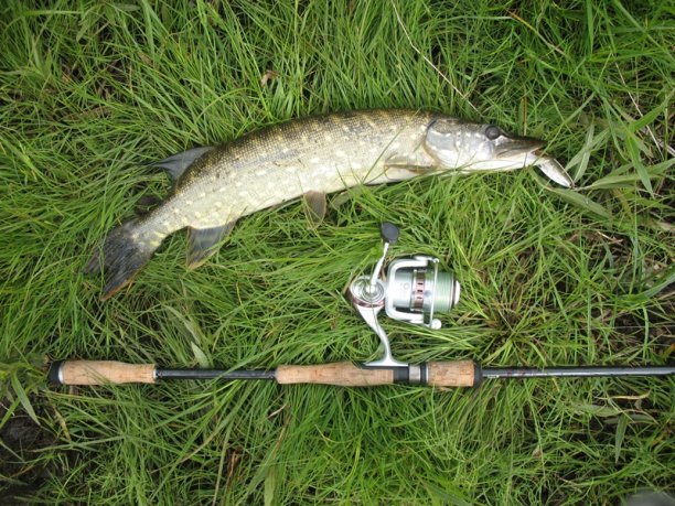 Shrap-Drakers.pl | Shrap Drakers Fishing | Wędkarstwo 