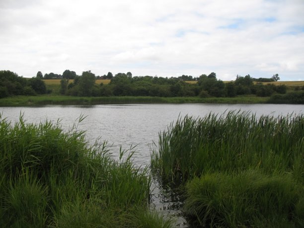 Shrap-Drakers.pl | Shrap Drakers Fishing | Wędkarstwo 