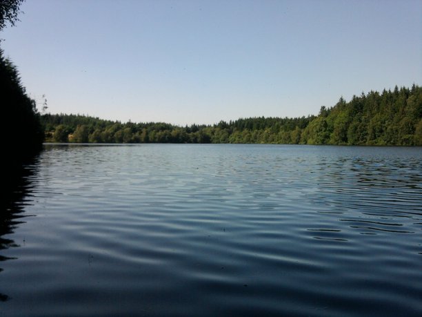 Shrap-Drakers.pl | Shrap Drakers Fishing | Wędkarstwo 