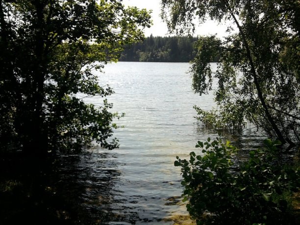 Shrap-Drakers.pl | Shrap Drakers Fishing | Wędkarstwo 