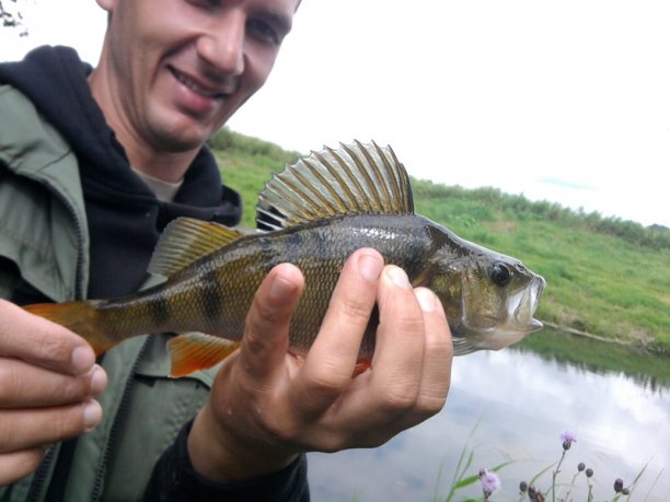 Shrap-Drakers.pl | Shrap Drakers Fishing | Wędkarstwo 