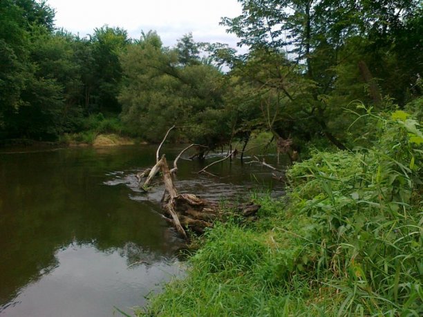 Shrap-Drakers.pl | Shrap Drakers Fishing | Wędkarstwo 