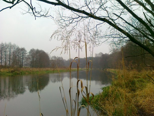 Shrap-Drakers.pl | Shrap Drakers Fishing | Wędkarstwo 