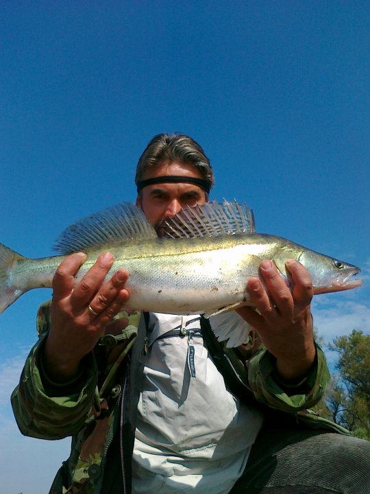 Shrap-Drakers.pl | Shrap Drakers Fishing | Wędkarstwo 