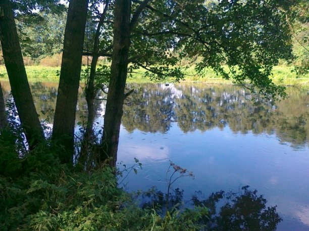 Shrap-Drakers.pl | Shrap Drakers Fishing | Wędkarstwo 