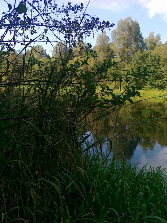 Shrap-Drakers.pl | Shrap Drakers Fishing | Wędkarstwo 