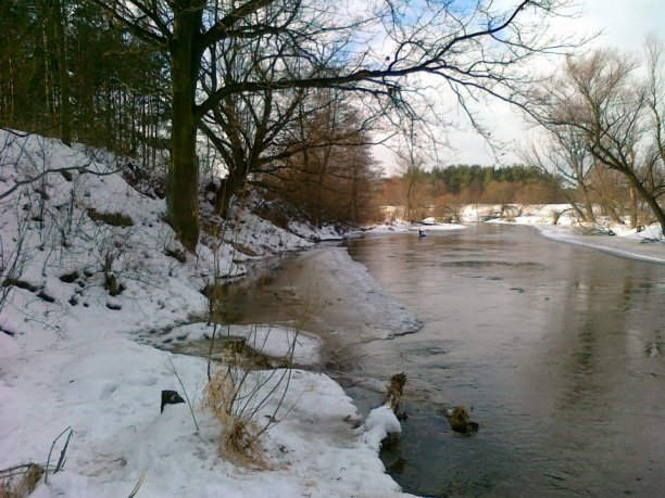 Shrap-Drakers.pl | Shrap Drakers Fishing | Wędkarstwo 