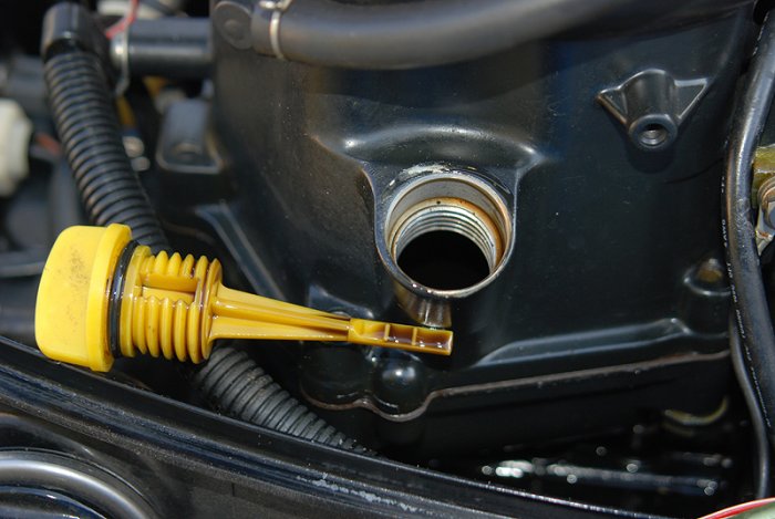 Shrap-Drakers.pl | Shrap Drakers Fishing | Wędkarstwo 