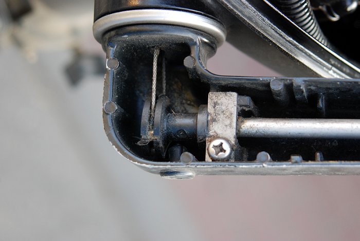 Shrap-Drakers.pl | Shrap Drakers Fishing | Wędkarstwo 