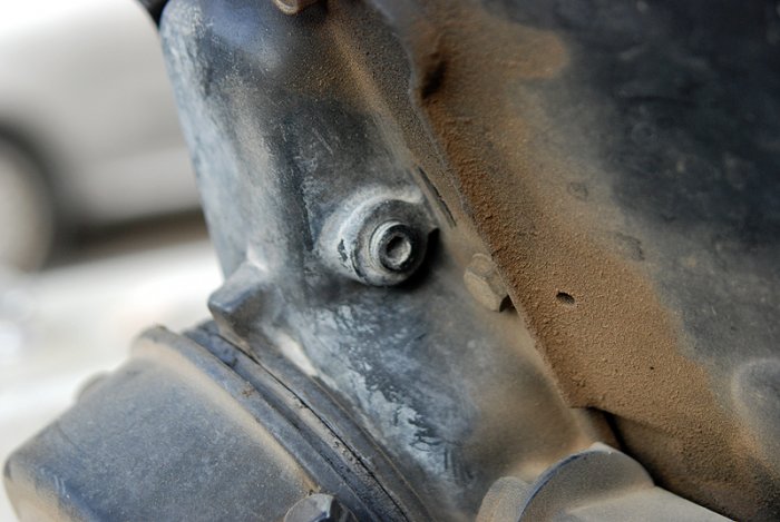 Shrap-Drakers.pl | Shrap Drakers Fishing | Wędkarstwo 