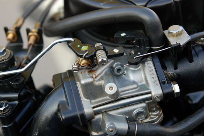 Shrap-Drakers.pl | Shrap Drakers Fishing | Wędkarstwo 