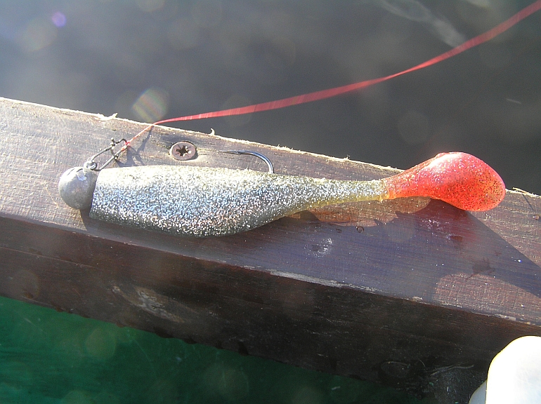 Shrap-Drakers.pl | Shrap Drakers Fishing | Wędkarstwo 