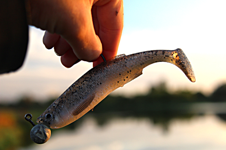 Shrap-Drakers.pl | Shrap Drakers Fishing | Wędkarstwo 