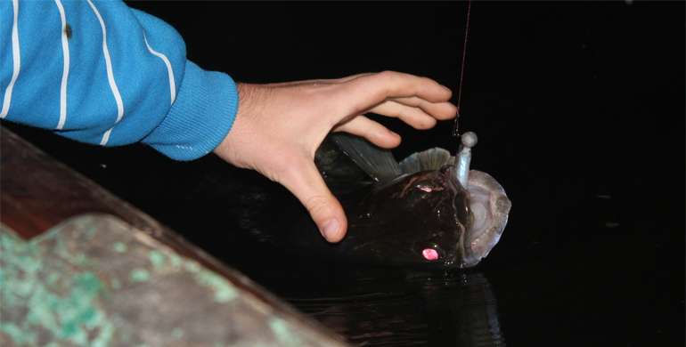 Shrap-Drakers.pl | Shrap Drakers Fishing | Wędkarstwo 