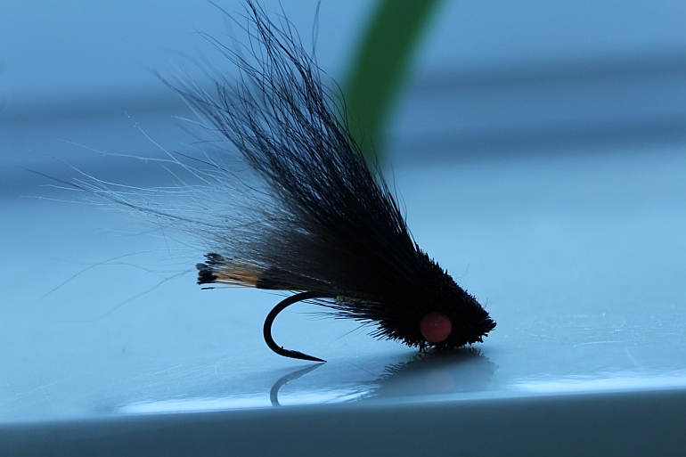 Shrap-Drakers.pl | Shrap Drakers Fishing | Wędkarstwo 