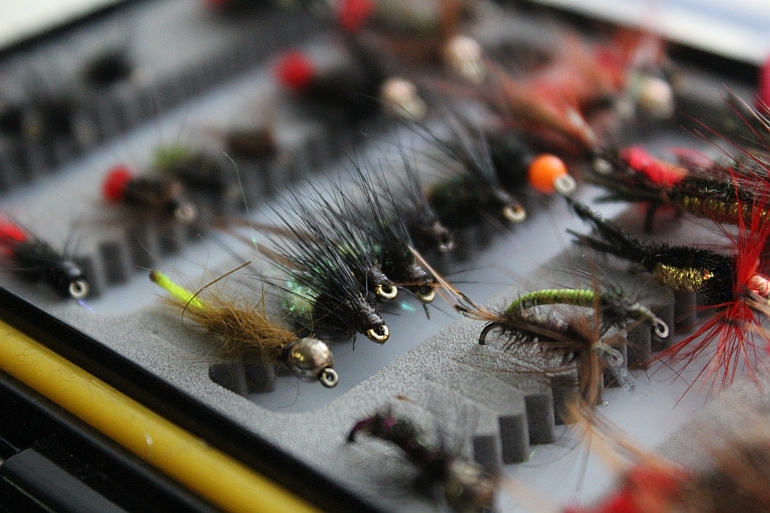 Shrap-Drakers.pl | Shrap Drakers Fishing | Wędkarstwo 