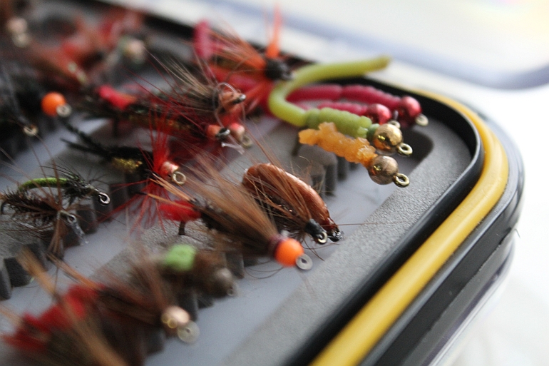 Shrap-Drakers.pl | Shrap Drakers Fishing | Wędkarstwo 