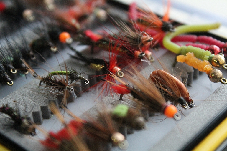 Shrap-Drakers.pl | Shrap Drakers Fishing | Wędkarstwo 