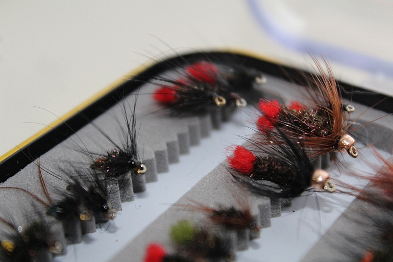 Shrap-Drakers.pl | Shrap Drakers Fishing | Wędkarstwo 