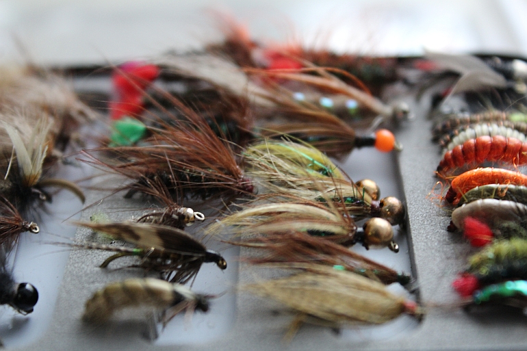 Shrap-Drakers.pl | Shrap Drakers Fishing | Wędkarstwo 