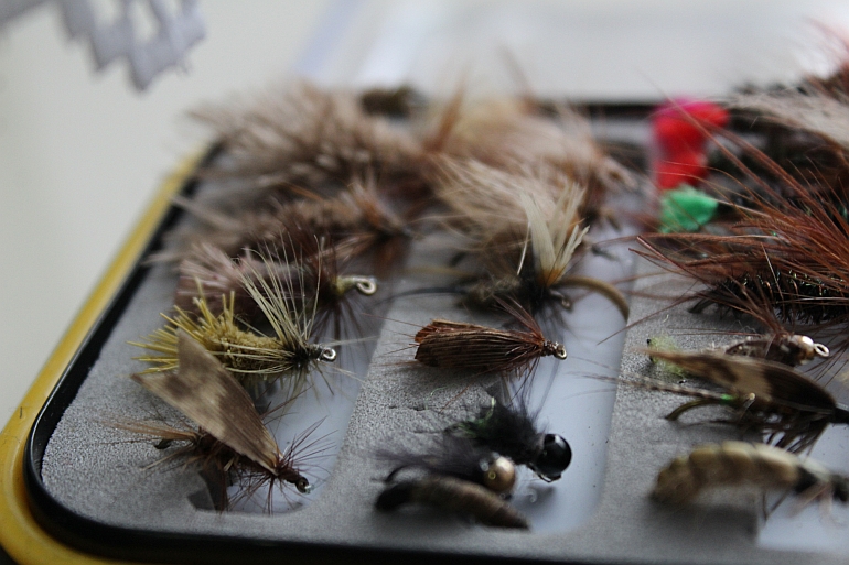 Shrap-Drakers.pl | Shrap Drakers Fishing | Wędkarstwo 