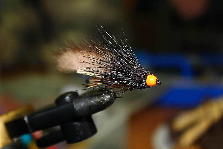 Shrap-Drakers.pl | Shrap Drakers Fishing | Wędkarstwo 