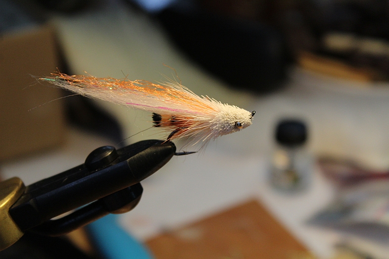 Shrap-Drakers.pl | Shrap Drakers Fishing | Wędkarstwo 