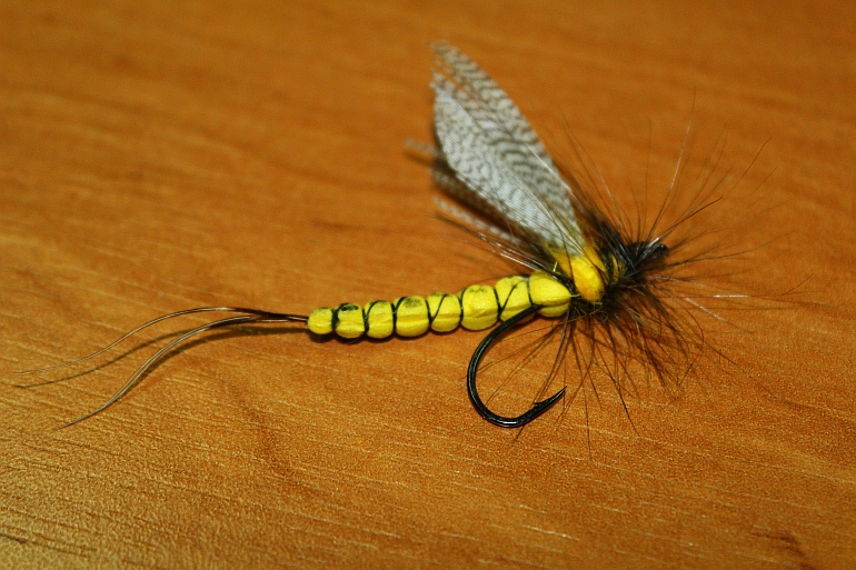 Shrap-Drakers.pl | Shrap Drakers Fishing | Wędkarstwo 