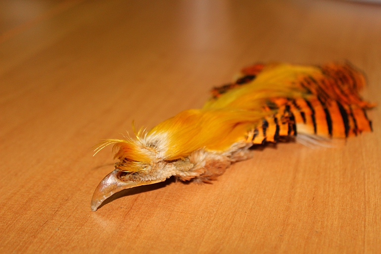 Shrap-Drakers.pl | Shrap Drakers Fishing | Wędkarstwo 