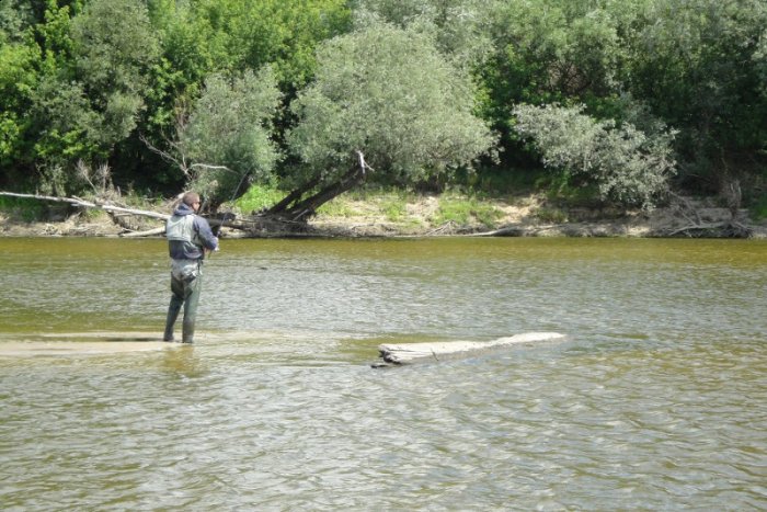 Shrap-Drakers.pl | Shrap Drakers Fishing | Wędkarstwo 