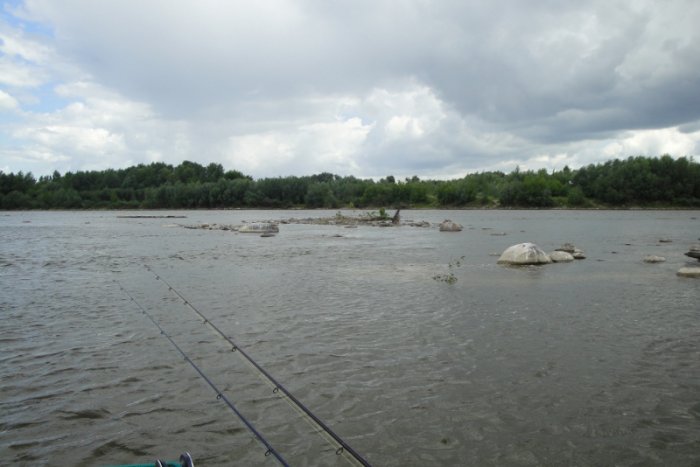 Shrap-Drakers.pl | Shrap Drakers Fishing | Wędkarstwo 