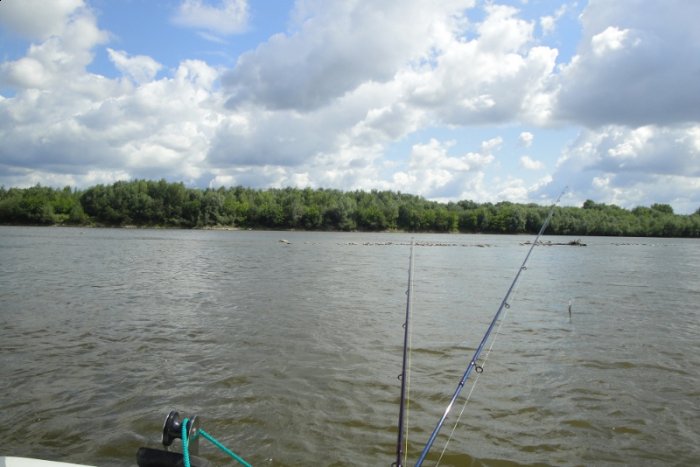 Shrap-Drakers.pl | Shrap Drakers Fishing | Wędkarstwo 