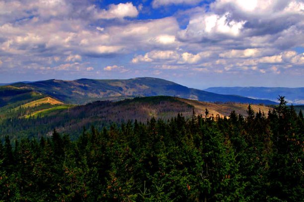 Shrap-Drakers.pl | Shrap Drakers Fishing | Wędkarstwo 