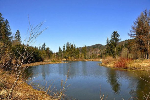 Shrap-Drakers.pl | Shrap Drakers Fishing | Wędkarstwo 