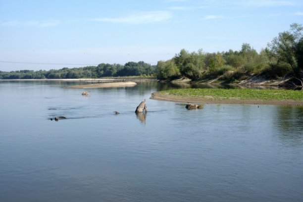 Shrap-Drakers.pl | Shrap Drakers Fishing | Wędkarstwo 