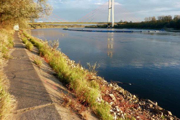 Shrap-Drakers.pl | Shrap Drakers Fishing | Wędkarstwo 