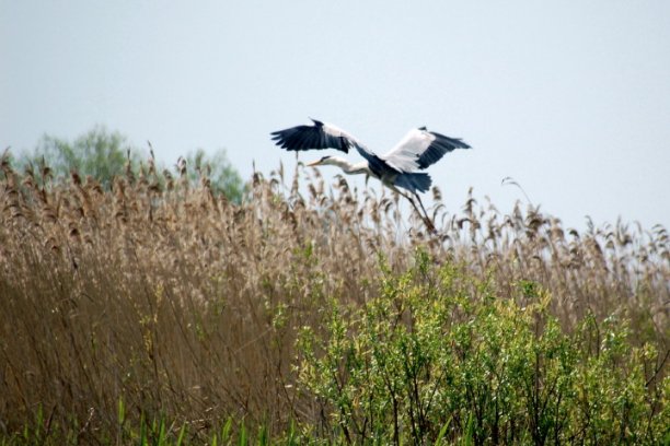 Shrap-Drakers.pl | Shrap Drakers Fishing | Wędkarstwo 
