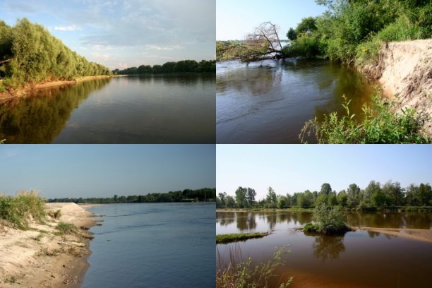 Shrap-Drakers.pl | Shrap Drakers Fishing | Wędkarstwo 