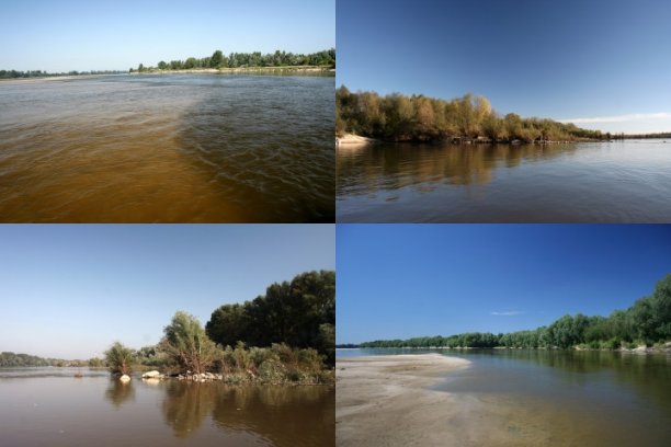 Shrap-Drakers.pl | Shrap Drakers Fishing | Wędkarstwo 